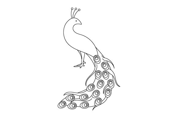 Peacock - Coloring Book Design: A Vibrant Embroidery Choice